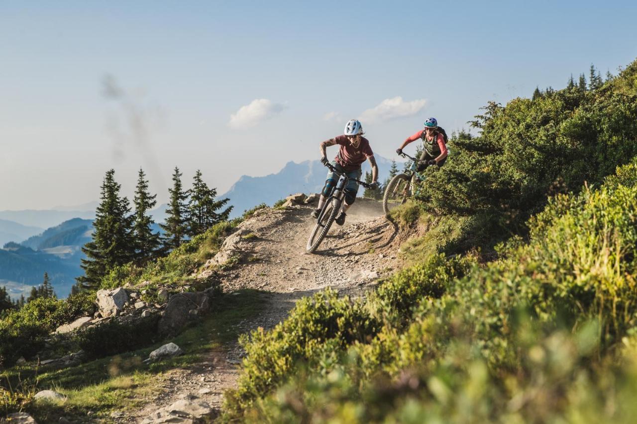Alpenparks Chalet & Apartment Steve Lodge フィーホーフェン エクステリア 写真